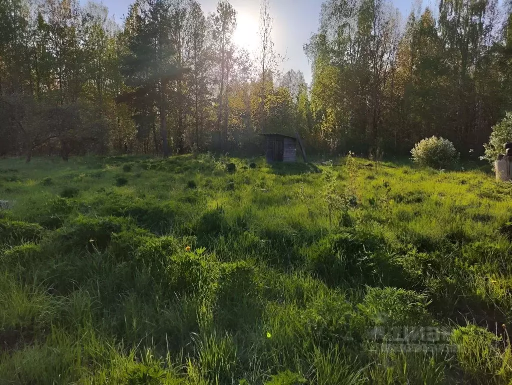 Участок в Московская область, Домодедово городской округ, д. Жуково ... - Фото 2
