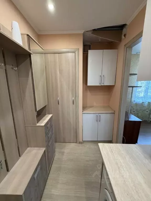 2-к кв. Алтайский край, Барнаул ул. Малахова, 66 (22.7 м) - Фото 2