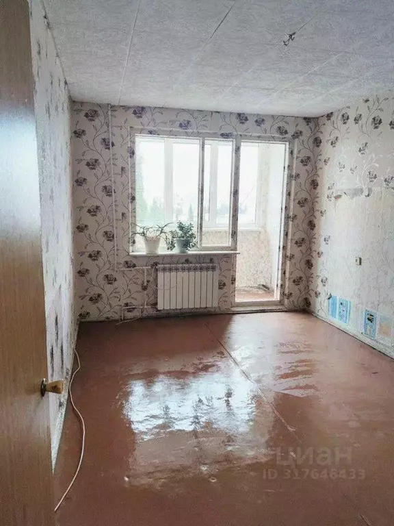 1-к кв. Севастополь ул. Героев Бреста, 25 (31.0 м) - Фото 0