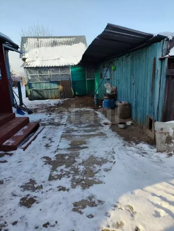 Дом в Амурская область, Свободный Лесная ул., 37 (27 м) - Фото 1