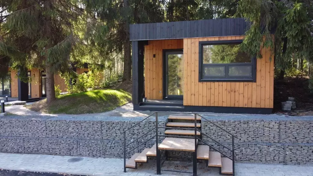 Участок в Ленинградская область, Всеволожский район, Агалатовское ... - Фото 2