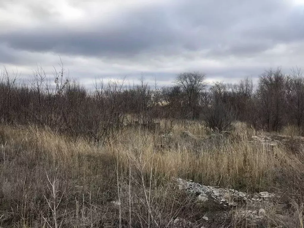 Склад в Волгоградская область, Михайловский район, с. Сидоры Садовая ... - Фото 1