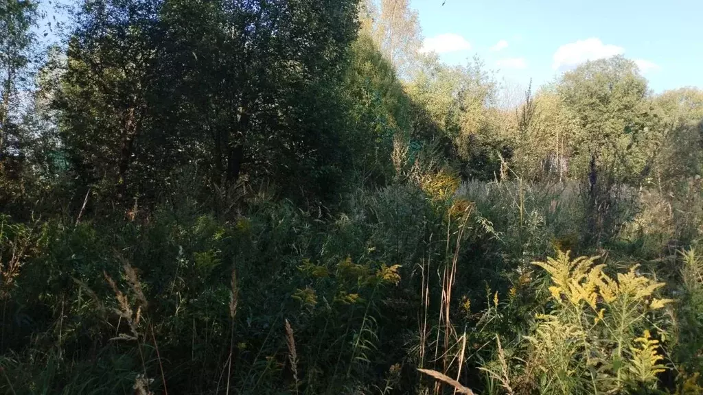 Участок в Московская область, Можайский муниципальный округ, д. ... - Фото 1