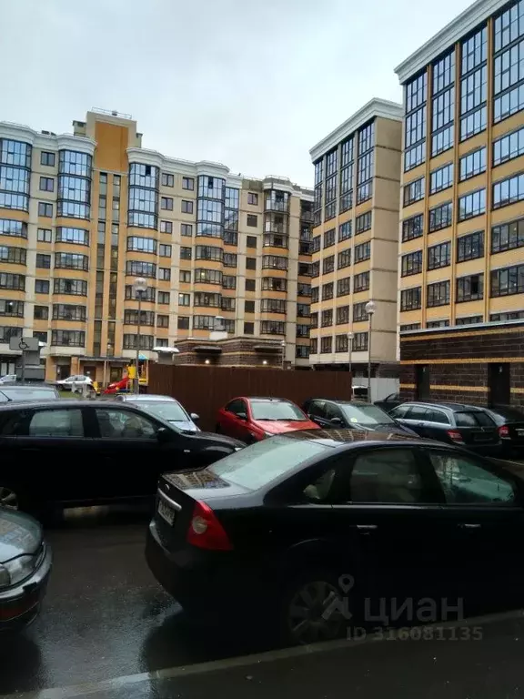 Студия Санкт-Петербург, Санкт-Петербург, Ломоносов Михайловская ул., ... - Фото 1