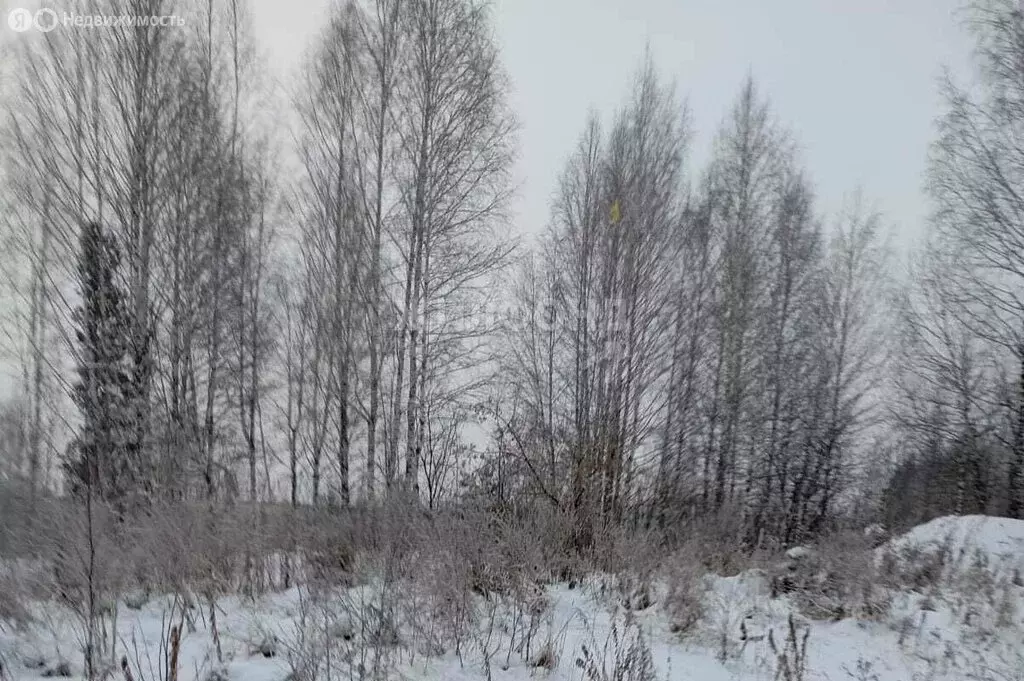 Участок в Барышевский сельсовет, некоммерческое садоводческое ... - Фото 0