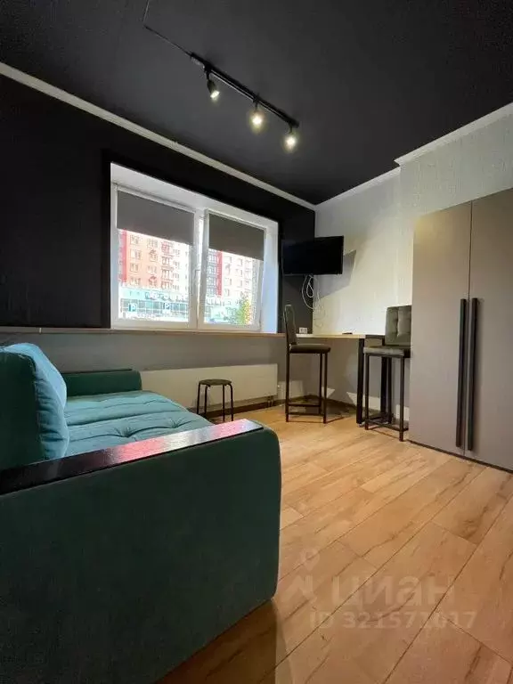 Студия Московская область, Королев Пионерская ул., 13к5 (29.0 м) - Фото 0