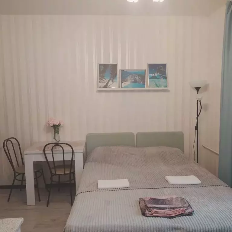 Студия Санкт-Петербург ул. Маринеско, 7А (16.0 м) - Фото 1
