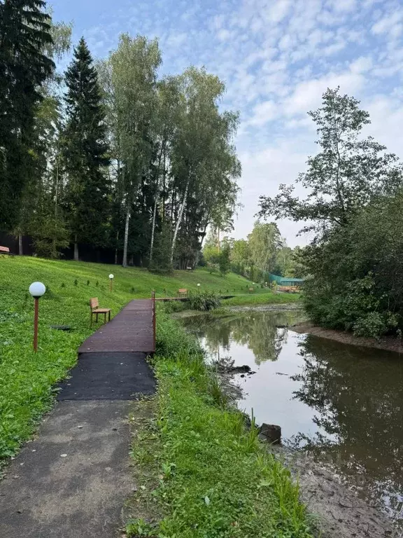 Участок в Московская область, Красногорск городской округ, д. ... - Фото 2