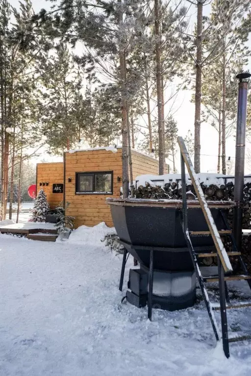 Дом в Красноярский край, Емельяновский муниципальный округ, Тальский ... - Фото 2