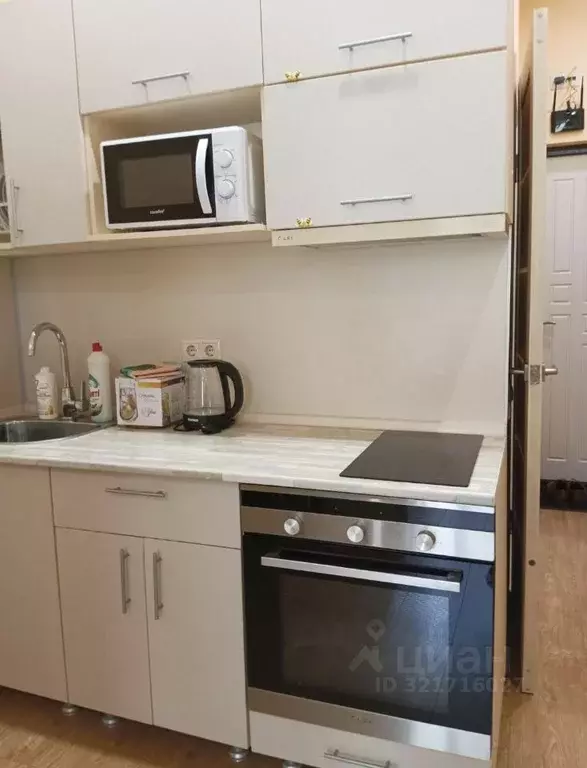 Студия Краснодарский край, Сочи городской округ, Дагомыс пгт ул. ... - Фото 0