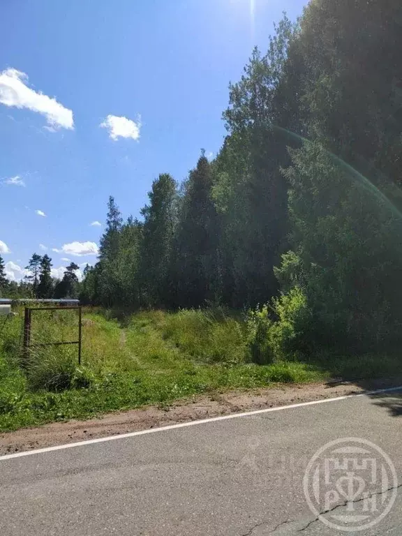 Участок, 11.2 сот., поселения (ижс) - Фото 2