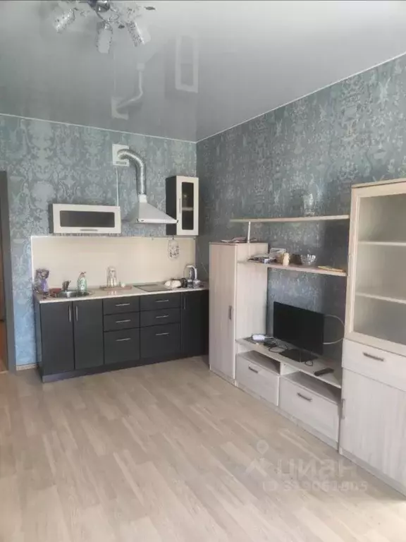 Студия Новгородская область, Великий Новгород наб. Колмовская, 87 ... - Фото 1