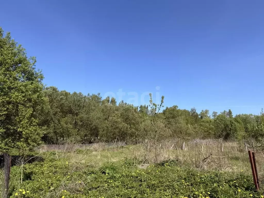 Участок в Смоленская область, Смоленск пос. Миловидово,  (4.28 сот.) - Фото 1