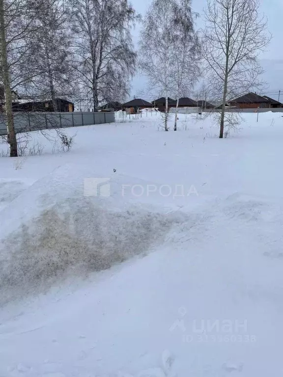 Участок в Новосибирская область, Новосибирский район, Морской ... - Фото 1