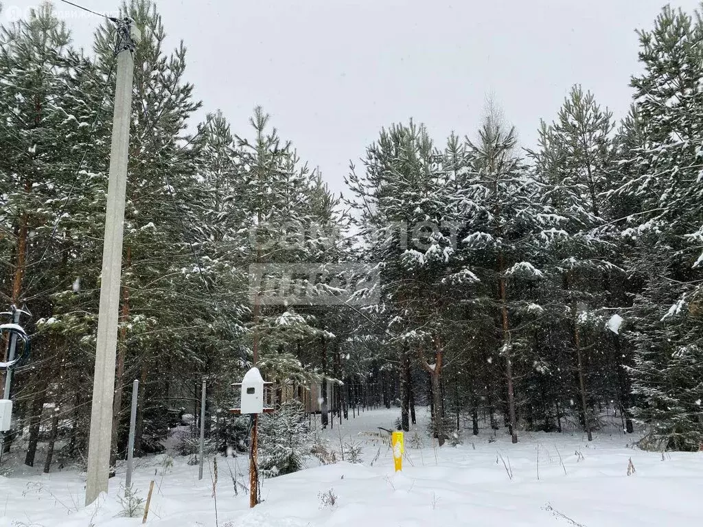 Участок в Завьяловский район, деревня Докша, коттеджный посёлок ... - Фото 0