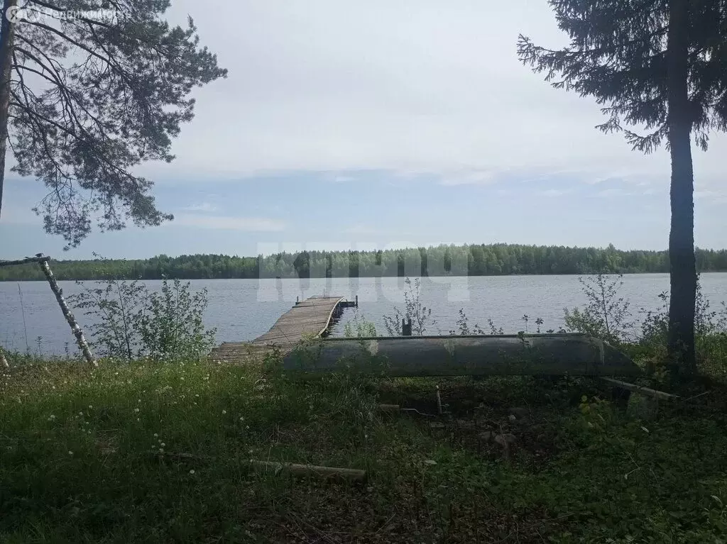 Участок в Вологодская область, Усть-Кубинский муниципальный округ, СНТ ... - Фото 0