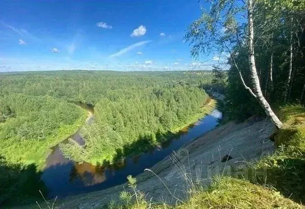 Участок в Ленинградская область, Лодейнопольский район, Алеховщинское ... - Фото 1