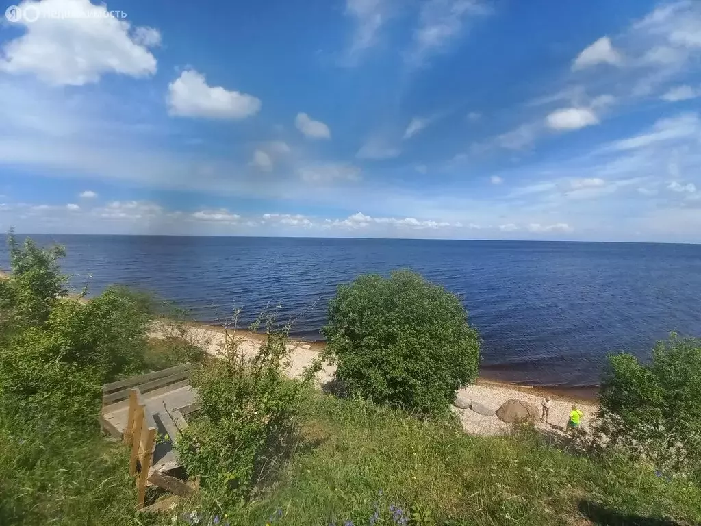 Купить Дом В Взваде Новгородской Области