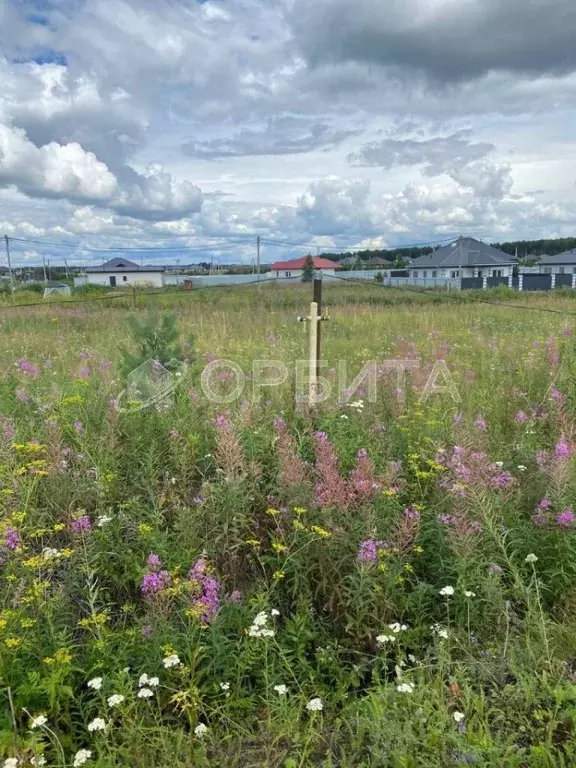 участок в тюменская область, тюменский район, с. каменка (9.34 сот.) - Фото 0