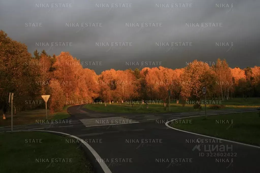 Участок в Москва № 22 кв-л,  (115.0 сот.) - Фото 1