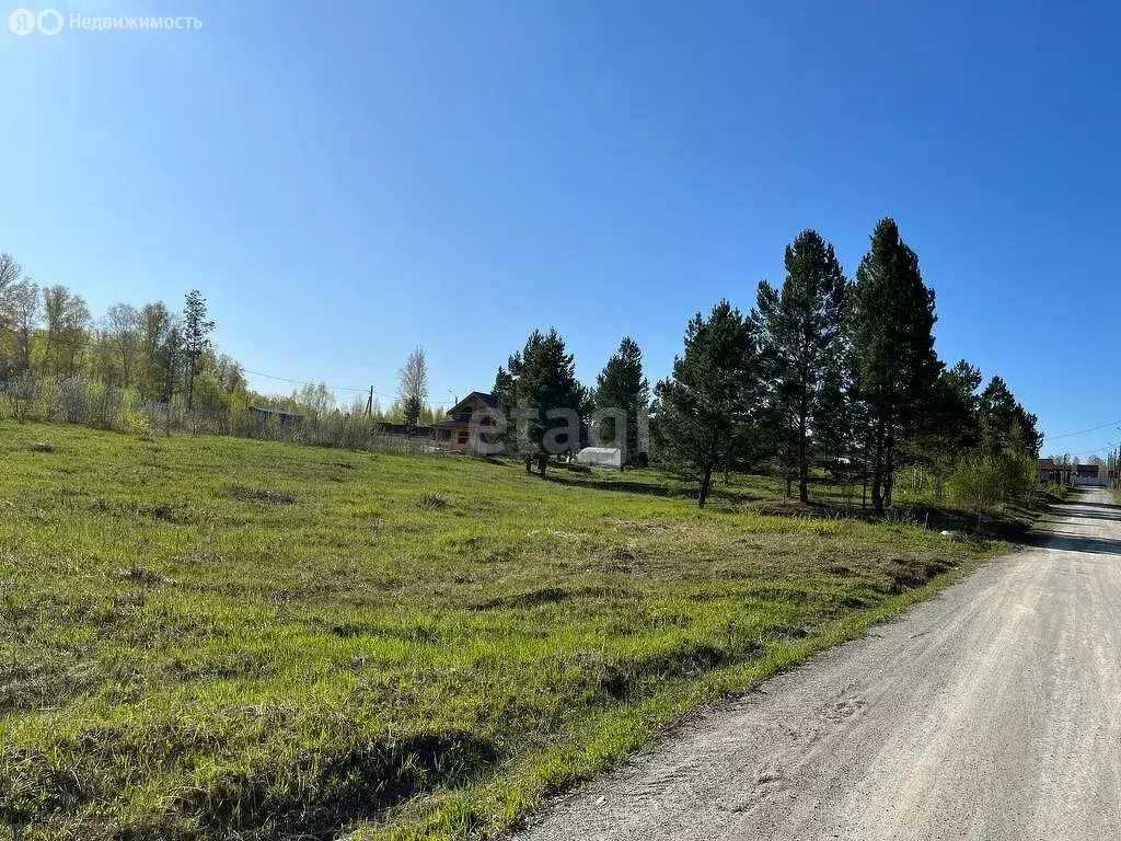 Участок в Плотниковский сельсовет, ДНТ Рябинка, Пихтовая улица (12 м) - Фото 1