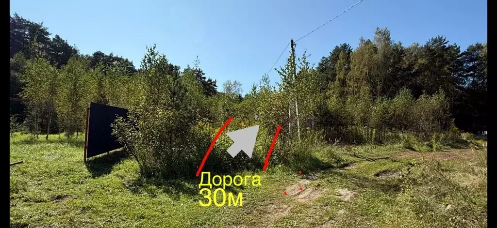 Участок в Калужская область, Жуков ул. Парковая (9.25 сот.) - Фото 2