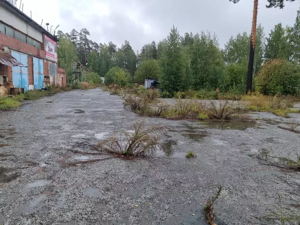 Помещение свободного назначения в Свердловская область, Асбест ул. ... - Фото 0