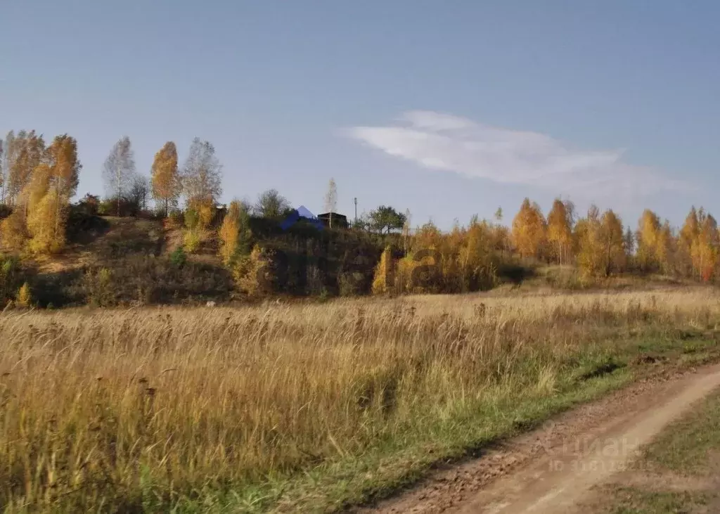 Участок в Татарстан, Высокогорский район, Бирюлинское с/пос, с. Бимери ... - Фото 1