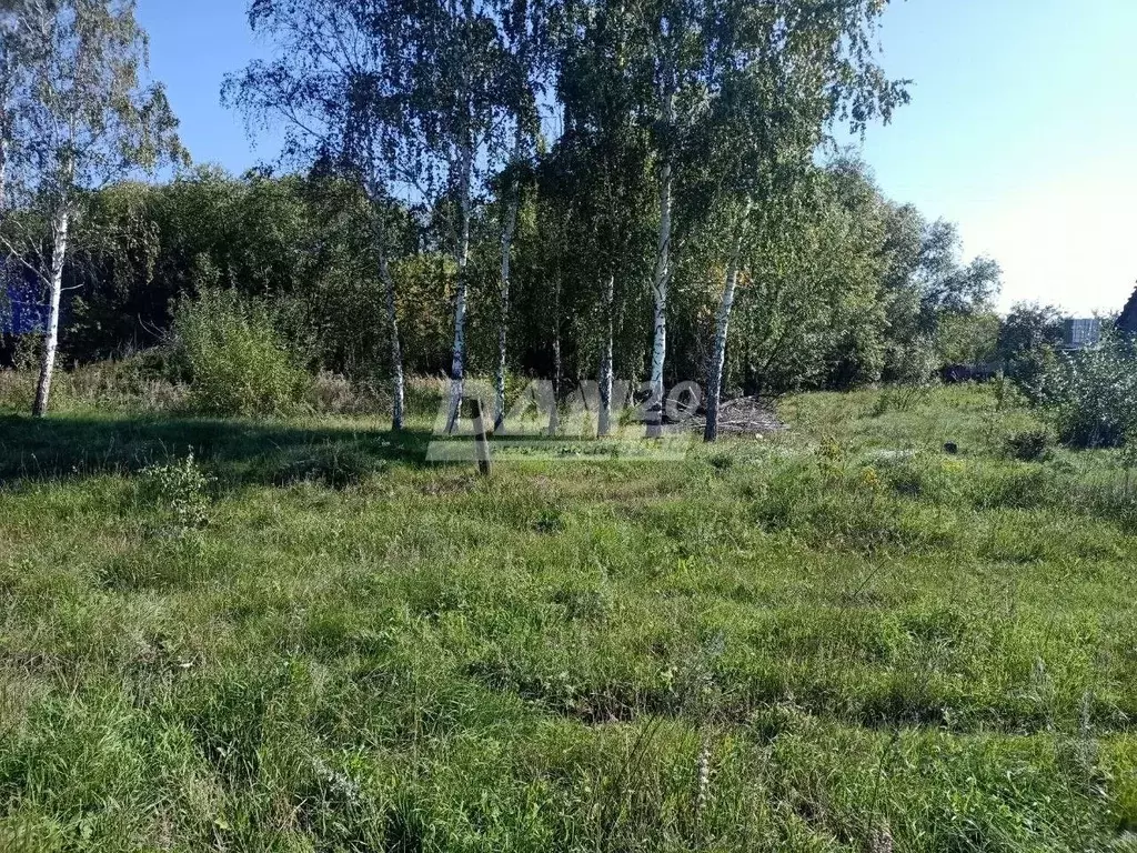 Участок в Челябинская область, Аргаяшский район, Кузнецкое с/пос, с. ... - Фото 0