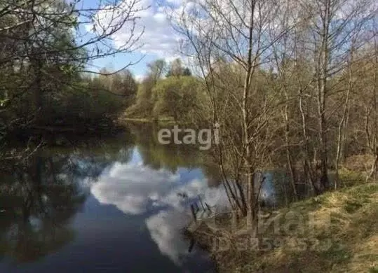 Участок в Калужская область, Тарусский муниципальный округ, Петрищево ... - Фото 1