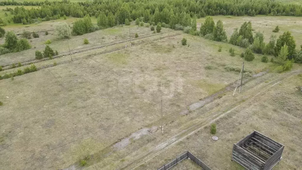 Участок в Тюменская область, Тюменский муниципальный округ, Архип ... - Фото 1