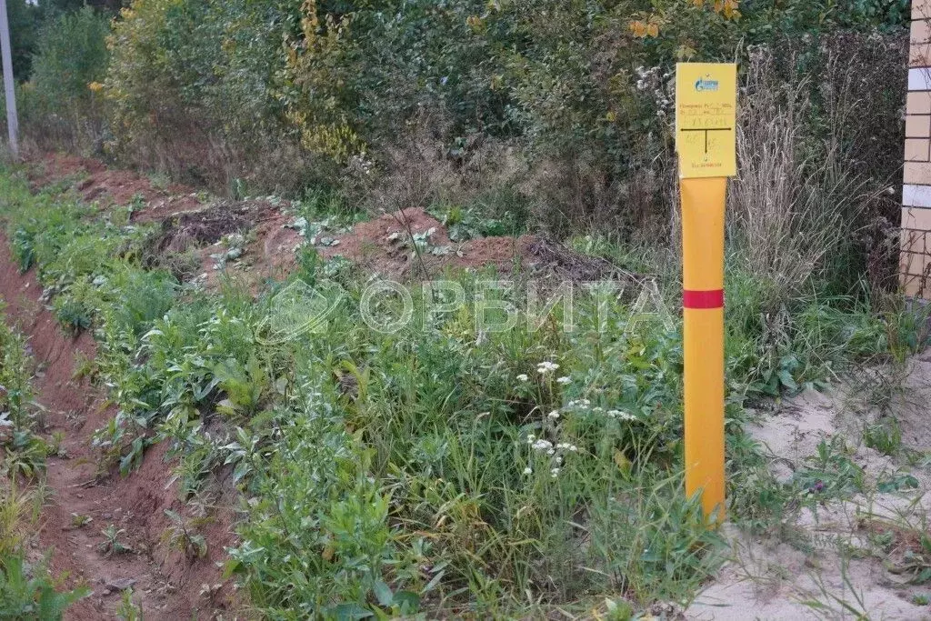 Участок в Тюменская область, Тюменский муниципальный округ, с. ... - Фото 1