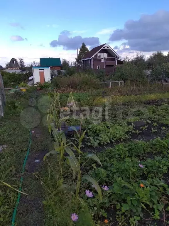 Участок 6 сот. (СНТ, ДНП) - Фото 0