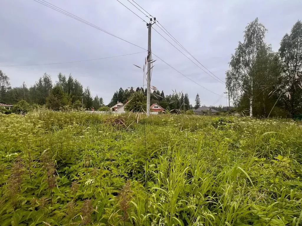 Участок в Ленинградская область, Выборгский район, Первомайское с/пос, ... - Фото 2