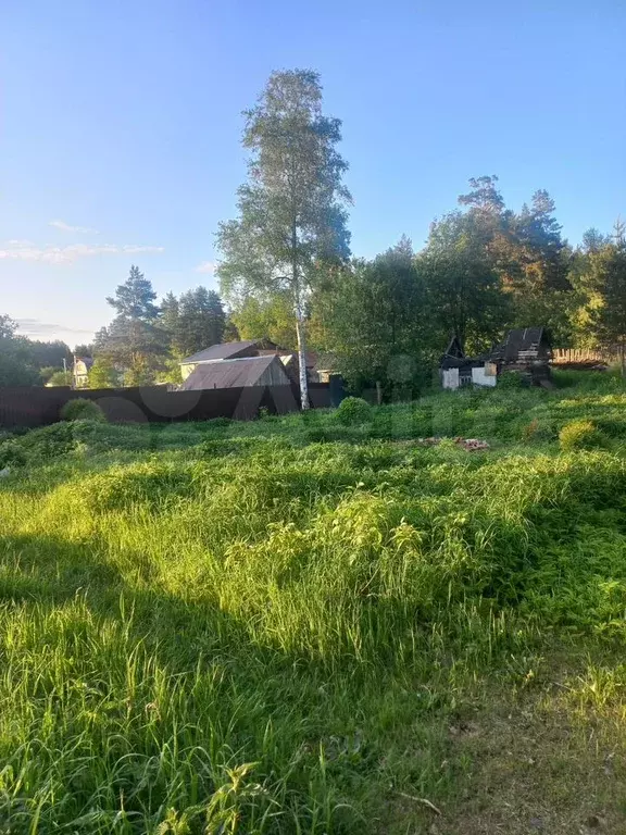 Участок 14 сот. (ИЖС) - Фото 0