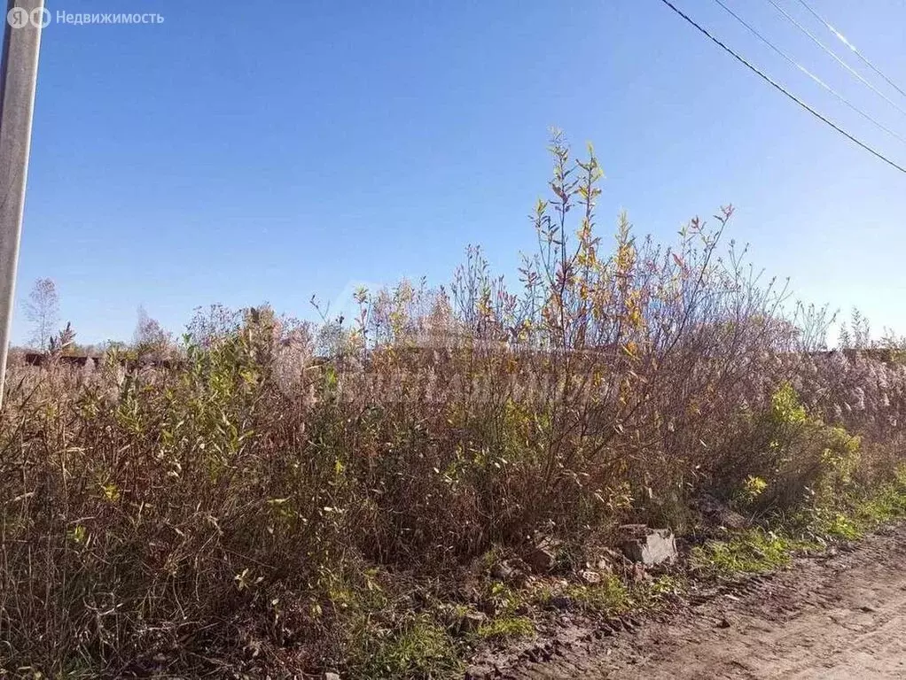 Участок в Тюмень, Зелёная улица (9.8 м) - Фото 1