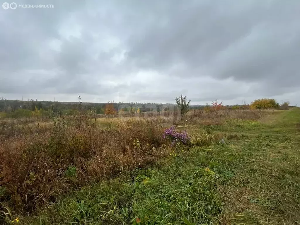 Участок в Прохоровка, посёлок Борщёвка, улица Дружбы (15 м) - Фото 1