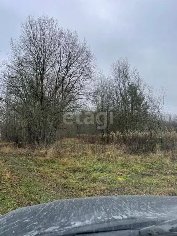 Участок в Псковская область, Гдовский район, Добручинская волость, д. ... - Фото 0