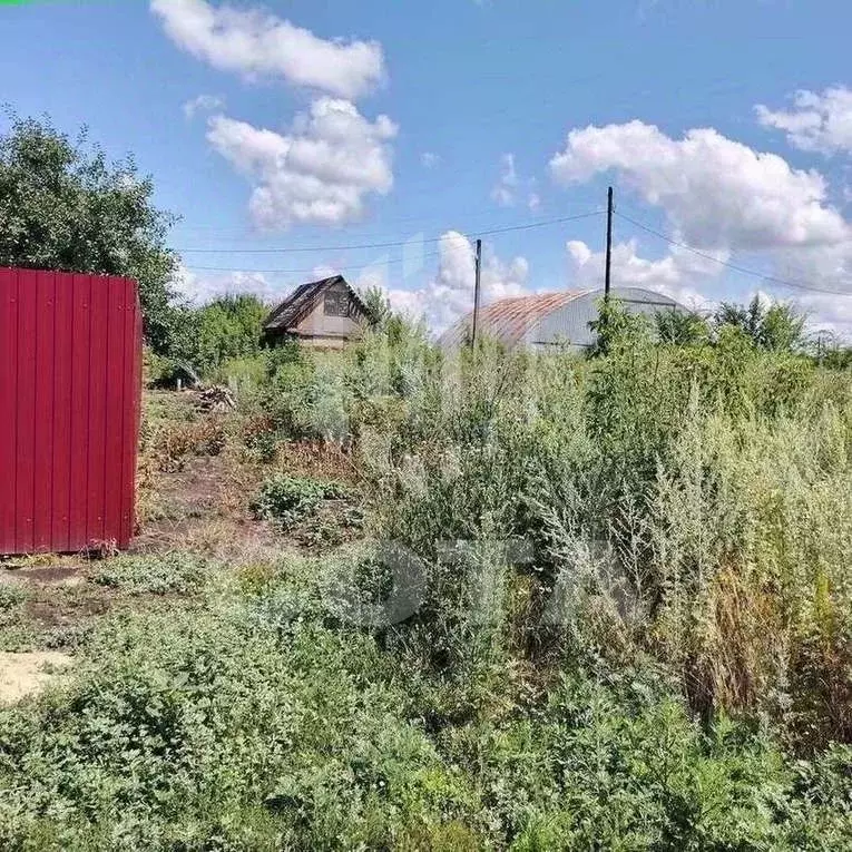Участок в Воронежская область, Новоусманский район, Усманское 1-е ... - Фото 2