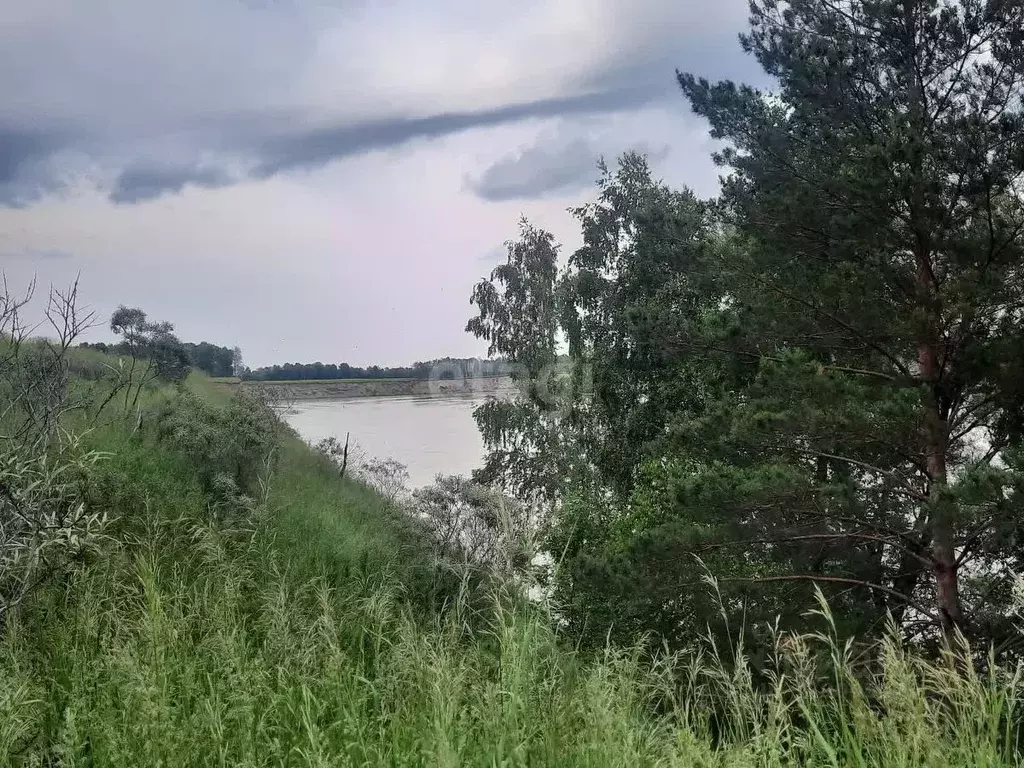 Участок в Алтайский край, Бийский район, Зверовод СДТ ул. Береговая ... - Фото 1