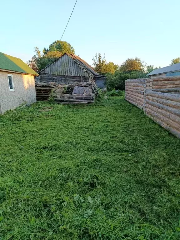 Участок в Новгородская область, Боровичский район, Опеченское с/пос, ... - Фото 1