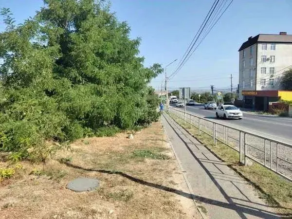 Участок в Краснодарский край, Анапа муниципальный округ, с. Супсех ул. ... - Фото 1