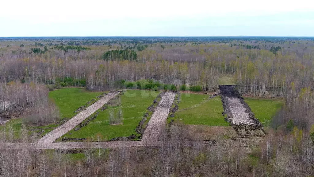 Участок в Тюменская область, Нижнетавдинский муниципальный округ, ... - Фото 2