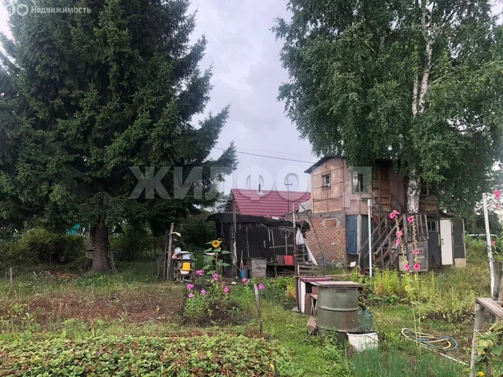 Участок в Новосибирский район, Верх-Тулинский сельсовет, садовое ... - Фото 0