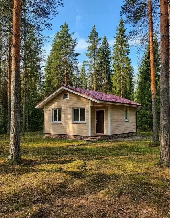 Участок в Свердловская область, Кировград Лесная ул. (12.0 сот.) - Фото 1