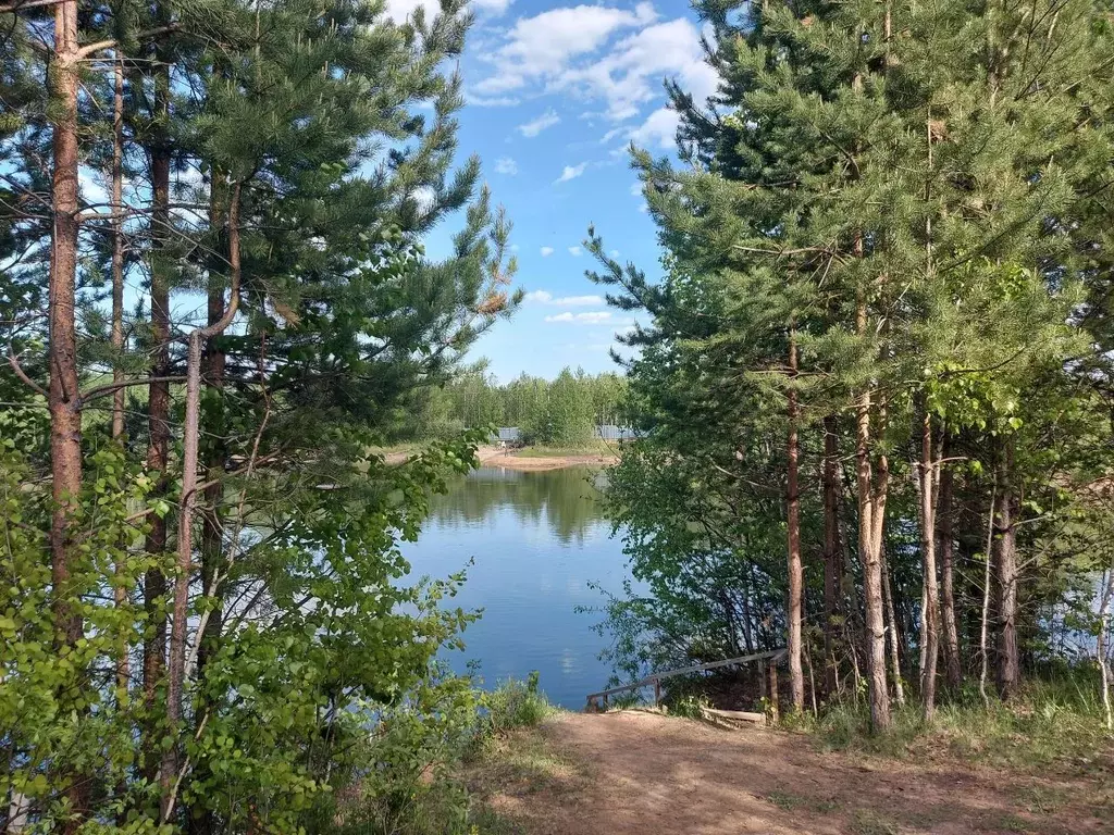 Коттедж в Свердловская область, Верхнее Дуброво пгт ул. Заречная, 33 ... - Фото 1