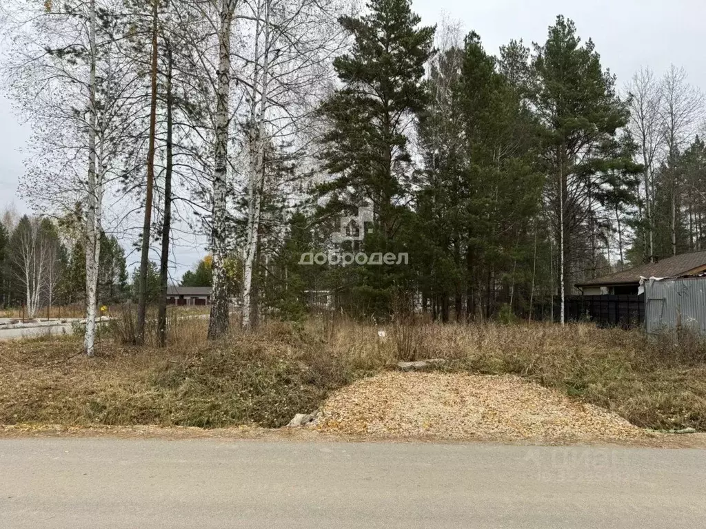 Участок в Свердловская область, Сысертский муниципальный округ, пос. ... - Фото 2