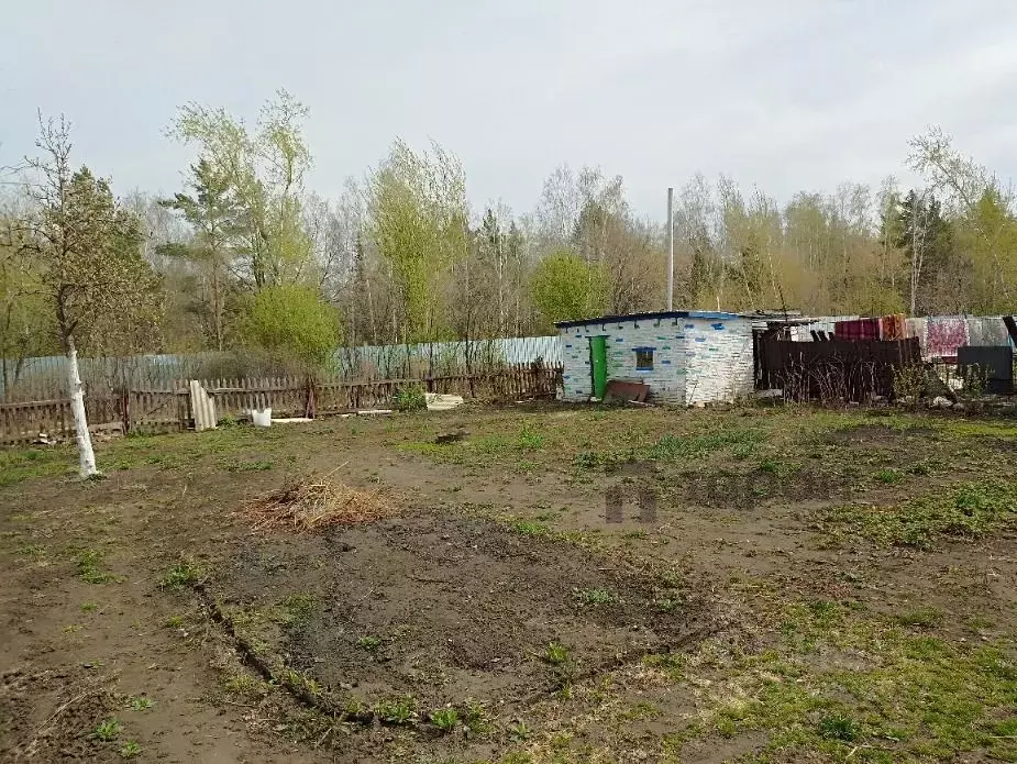 Участок в Челябинская область, Челябинск Металлист-2 СНТ,  (7.0 сот.) - Фото 1