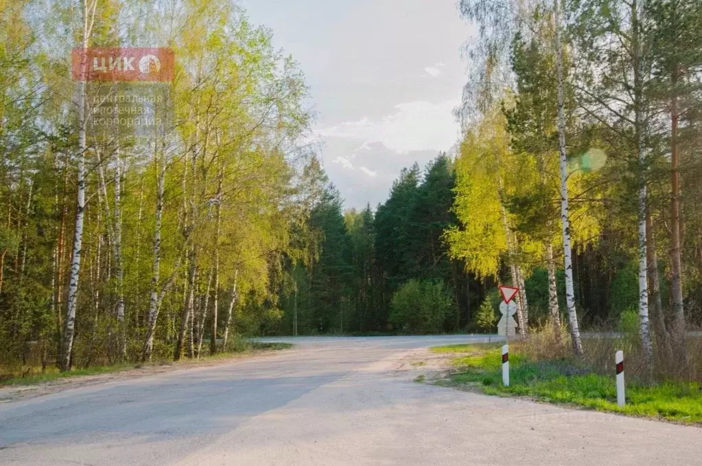 Участок в Рязанская область, Спасский муниципальный округ, с. Ярустово ... - Фото 2