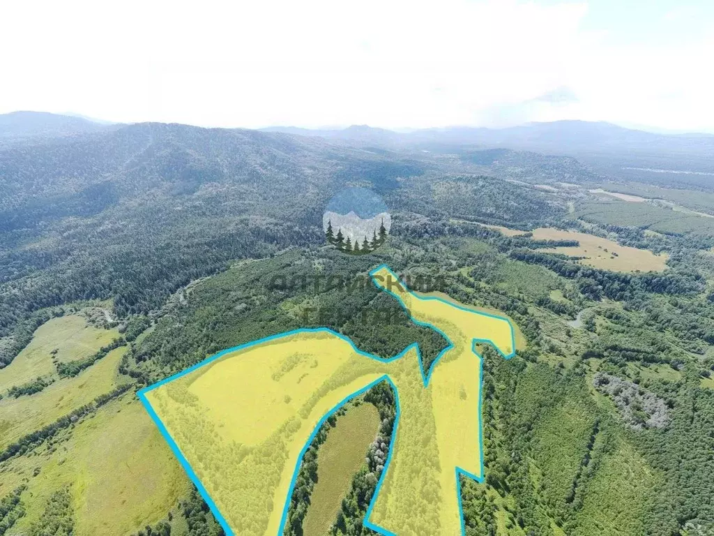 Участок в Алтай, Турочакский район, с. Тулой Строительная ул. (100.0 ... - Фото 1